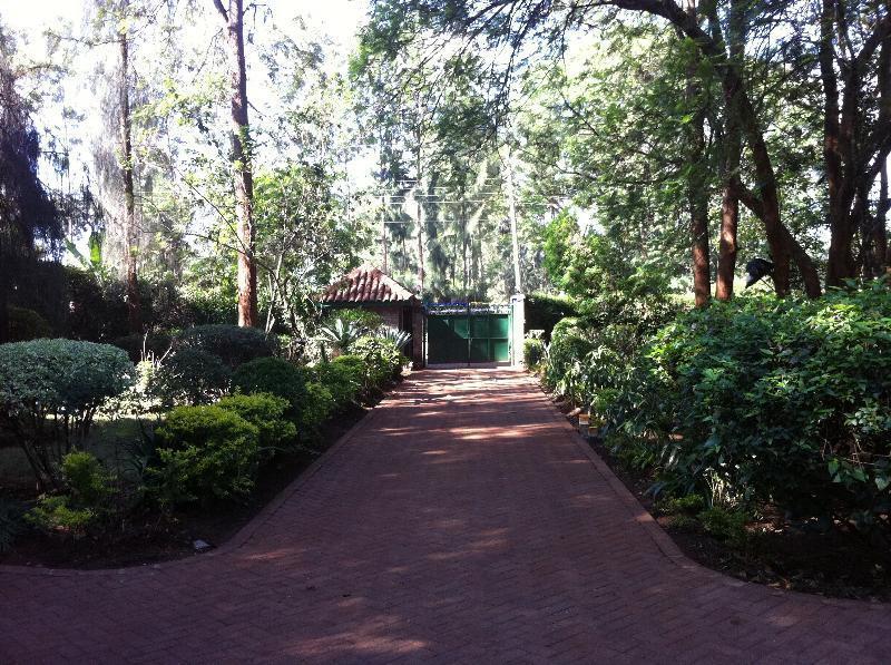 Milimani Backpackers Hostel Nairobi Bagian luar foto