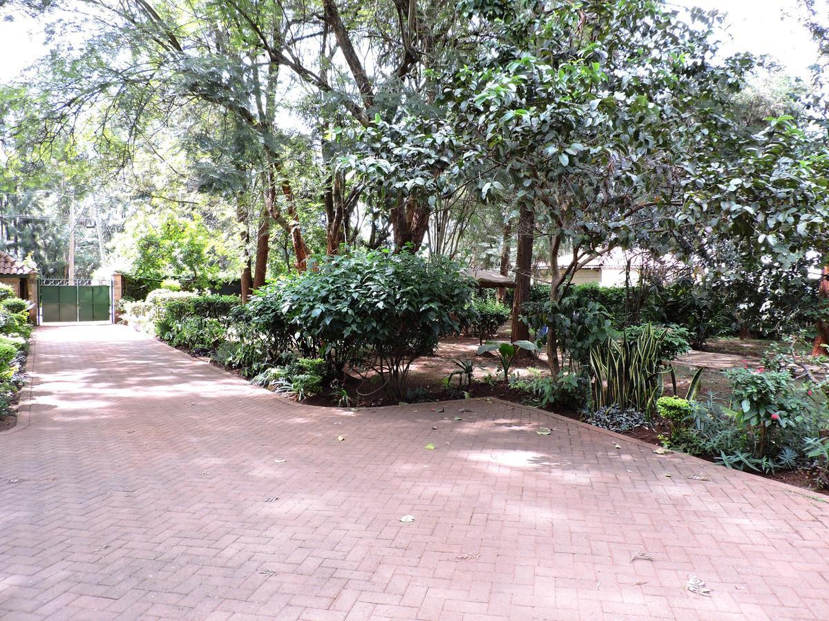 Milimani Backpackers Hostel Nairobi Bagian luar foto