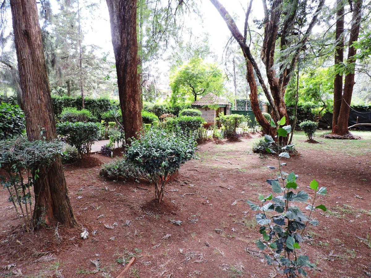 Milimani Backpackers Hostel Nairobi Bagian luar foto