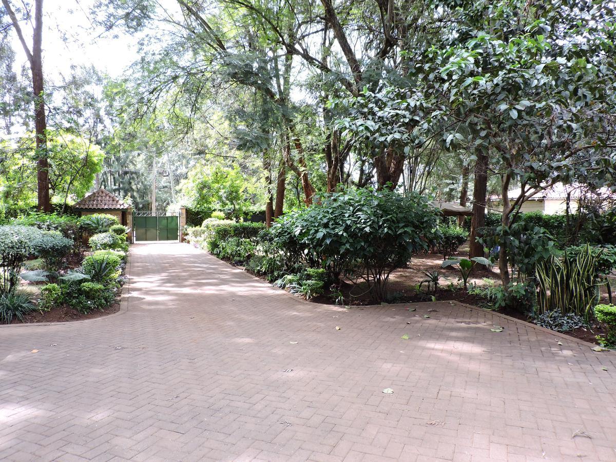 Milimani Backpackers Hostel Nairobi Bagian luar foto